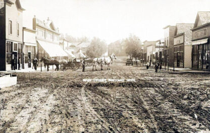 Street scene, Hoffman, Minnesota, 1910 Print