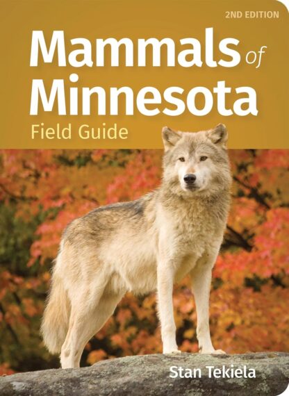 Mammals of Minnesota Field Guide (Mammal Identification Guides)