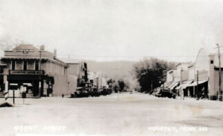 Grant Street, Houston, Minnesota, 1929 postcard image